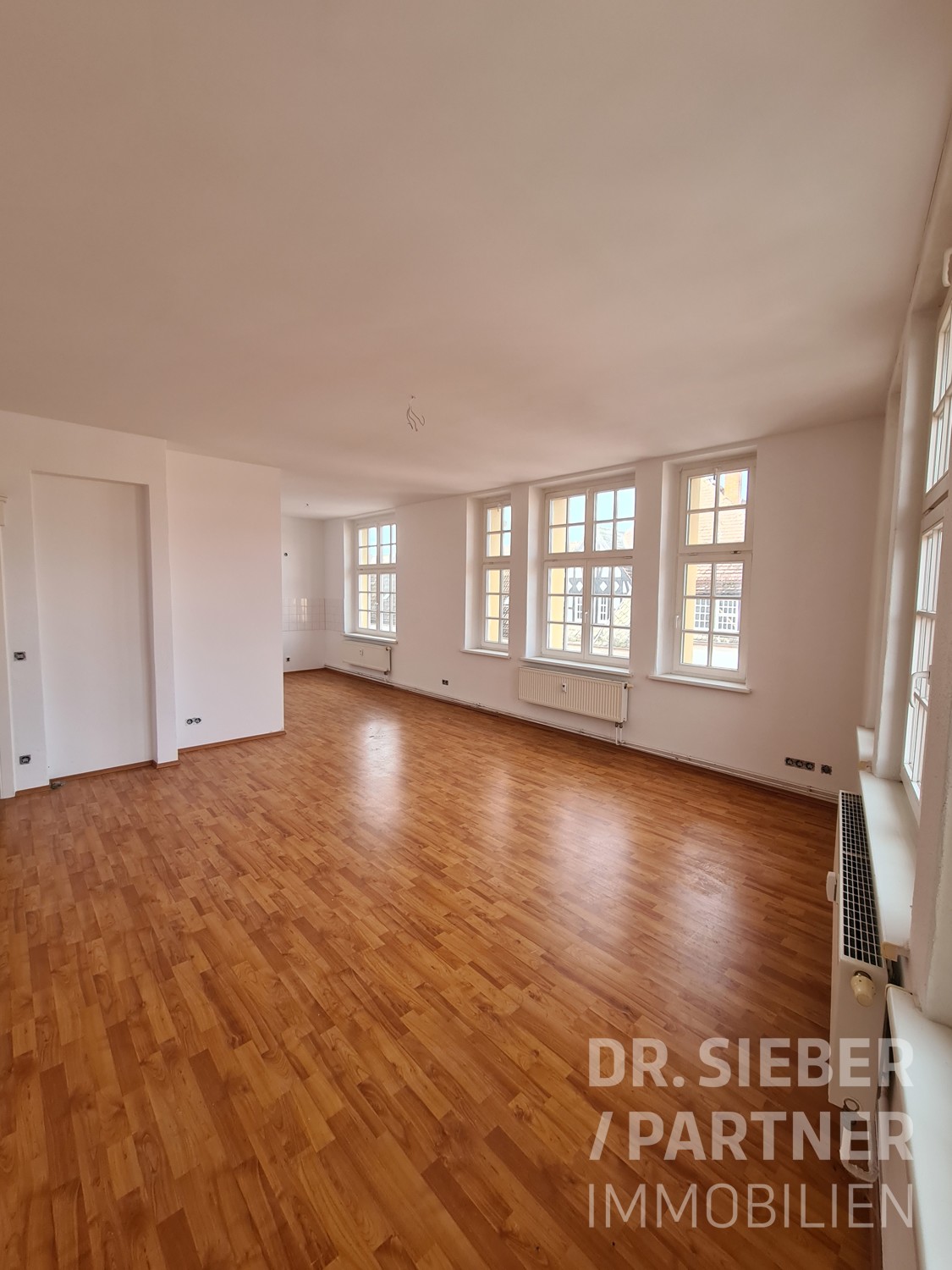 Weißenfels - *geräumige 1 Zimmerwohnung im Zentrum*frisch renoviert*